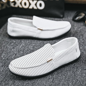 Men's Casual Fashion Cloth Shoes