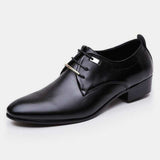 Brogue Pointed Oxford Shoes