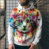 3D Digital Printing Casual Hoodies