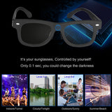 Polarized Adjustable Shades